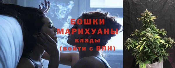 шишки Богданович