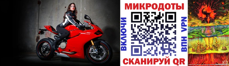 Псилоцибиновые грибы Psilocybe гидра ТОР Вязники купить наркоту