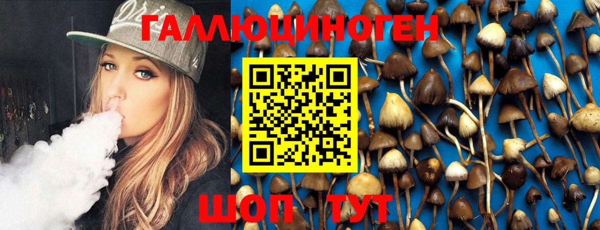 Вязники  Псилоцибиновые грибы Psilocybe  Псилоцибиновые грибы ЛСД  хочу   Вход с VPN 